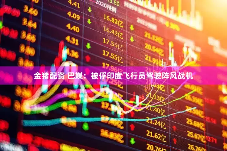 金猪配资 巴媒：被俘印度飞行员驾驶阵风战机